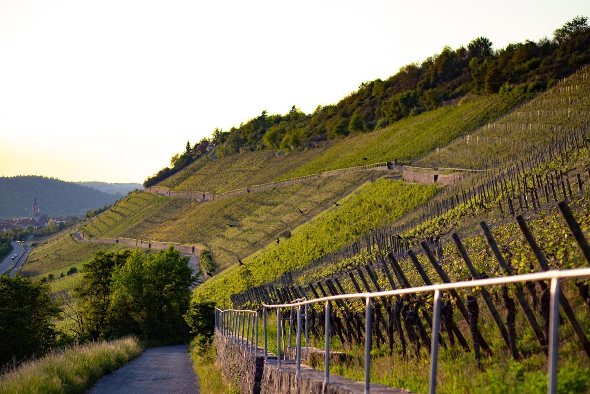 Weingut Leininger Ferienwohnungen Eibelstadt Exterior foto