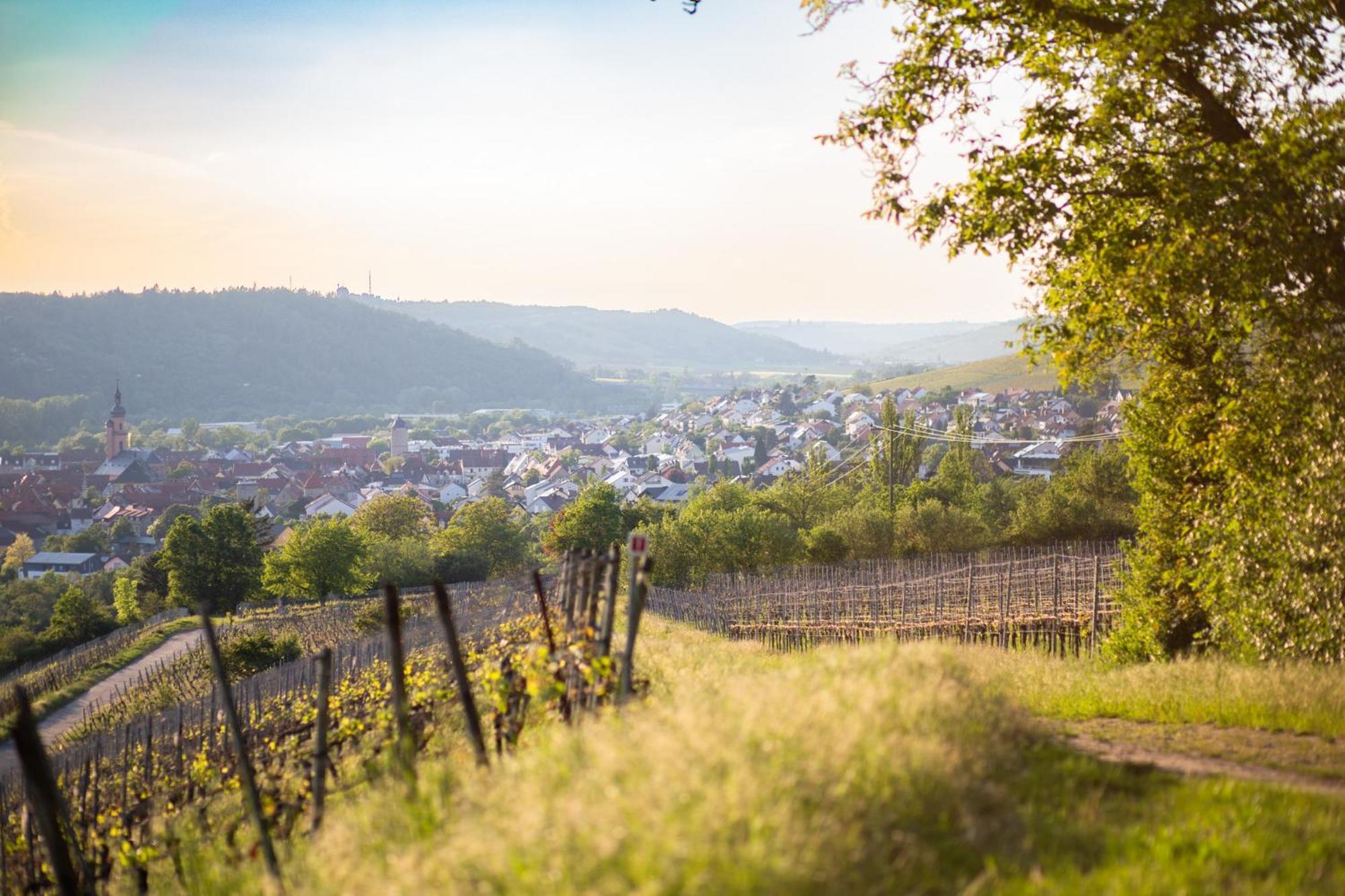 Weingut Leininger Ferienwohnungen Eibelstadt Exterior foto